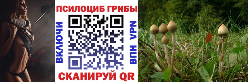 как найти закладки  Черноголовка  Галлюциногенные грибы MAGIC MUSHROOMS 