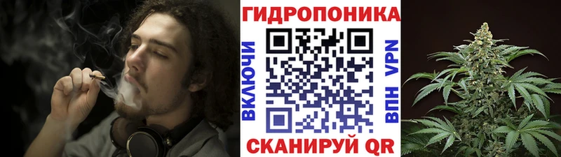 omg зеркало  как найти закладки  Черноголовка  Бошки марихуана семена 